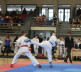 Karate- Prevenstvo KiM