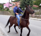 Aleksandar Arsenijević- konjar