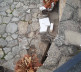 Oskrnavljeni spomenik u Velikoj Hoči