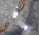 Oskravljen spomenik u Velikoj Hoči