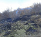 lokalizovan požar u Kosovskoj Kamenici
