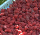 Nabrane maline