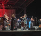 Violinista Nemanja Radulović