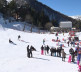 Brezovica1