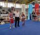 Za kik-boks klub "028" na prvenstvu Srbije u olimpijskom boksu pet medalja