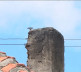 Sedmočlana porodica Perić Novo Brdo