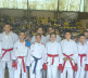 Karatisti Omladinskog karate kluba "Kosovska Mitrovica" osvojili tri medalje