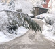 Leposavić