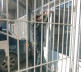Zatvaranje Centra za socijalni rad u Severnoj Mitrovici