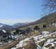 zadušnice u Leposaviću