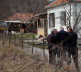Donja Brnjica