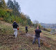 košenje trave