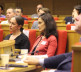 Konferencija u Parizu