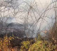 Plavo oko, požar
