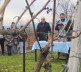 Sveti Trifun u vinogradima "Doline Ibra" u Leposaviću