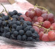 Sveti Trifun u vinogradima "Doline Ibra" u Leposaviću