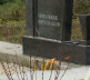 MITROVICA
