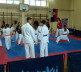 Karate turnir u Gračanici
