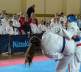 Karate turnir u Gračanici