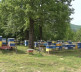 Brezovica, api komora
