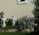Đakovica