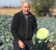 Mogila, porodica Nojkić, proizvodnja kupus
