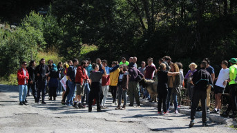 Brezovica 