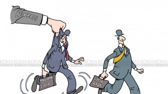 Karikatura dana Koha