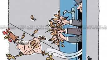 karikatura dana 13.9.2019.