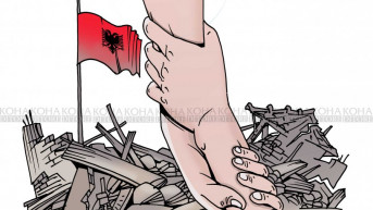 karikatura dana 27.11.2019.