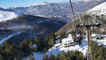 Brezovica