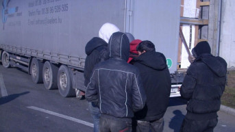 migranti