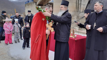 Milata Pitulić i vladika Teodisije