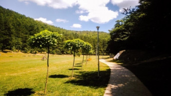 Parkovi