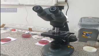 Koronavirus