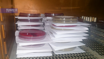 Koronavirus