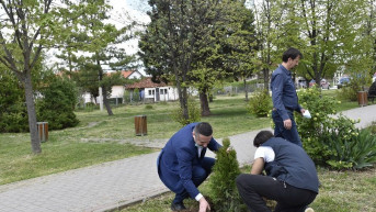 Gračanica - Četinari i cveće u dvorištima osnovnih škola 