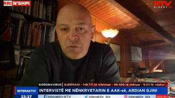 Ardian Džini