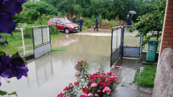 Ugljare Ugljare
