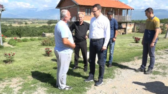Petković i Miletić