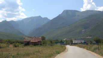 Brestovnik