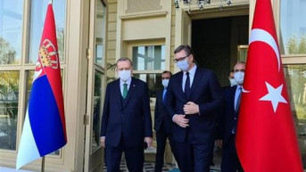 Vu;i' i Erdogan