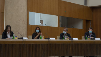 Nataša Dragojlović, Nacionalni konvent o EU