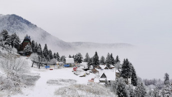 Brezovica Brezovica