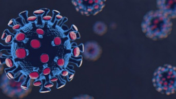 koronavirus koronavirus