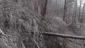 Nevreme u opštini Gora Nevreme u opštini Gora
