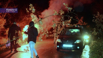 Seča badnjaka na severu Kosova Seča badnjaka na severu Kosova