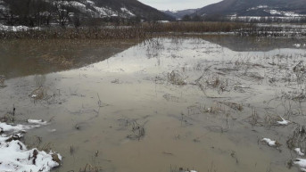 poplave
