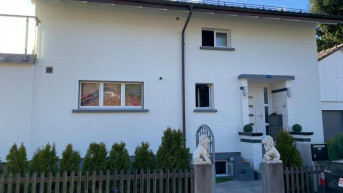 kuća švajcarska nasilje u porodici