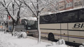 prevoznici.